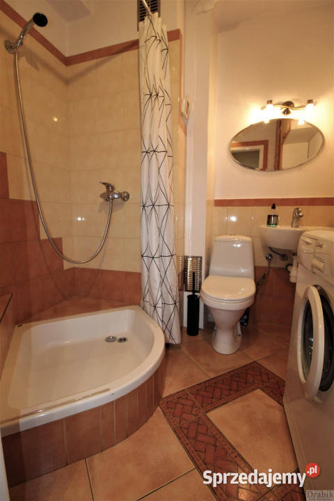 Ogłoszenie mieszkanie Kraków 231m2 1 pokój Wynajem