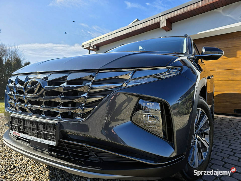 Hyundai Tucson serwis ASO Irej 2023 IV 2020 światła do jazdy dziennej Tucson śląskie Rydułtowy