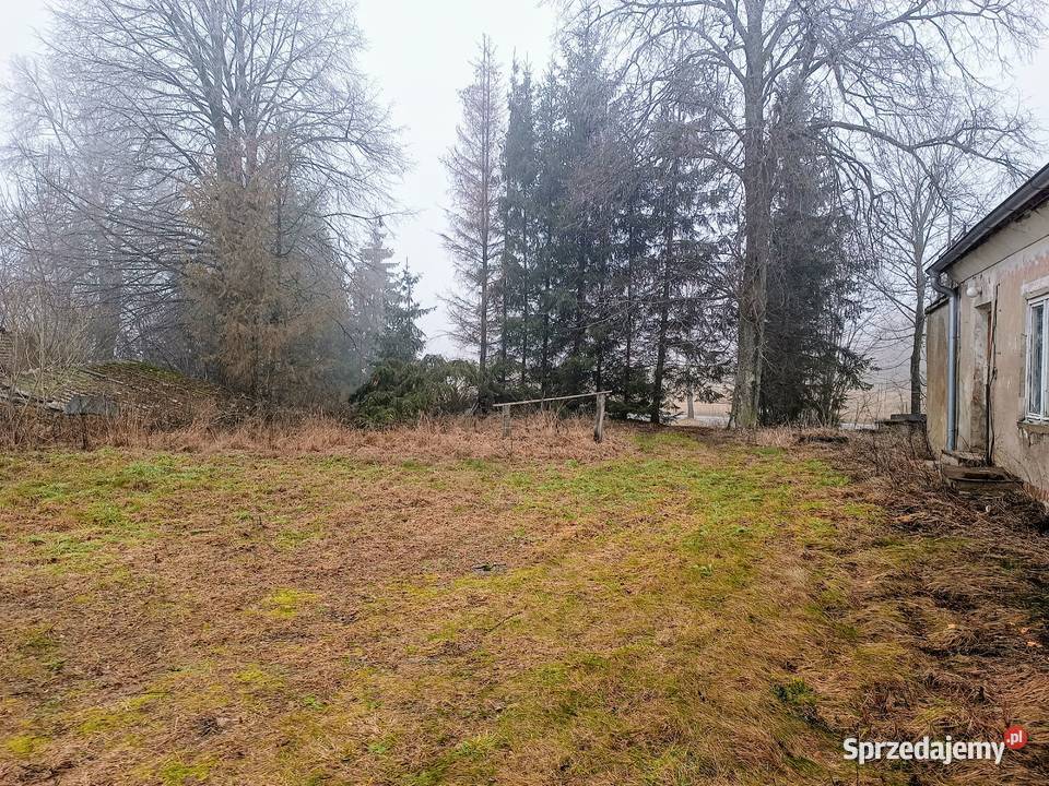 Dom na Warmii do remontu działka 55arów Skarbiec sprzedam