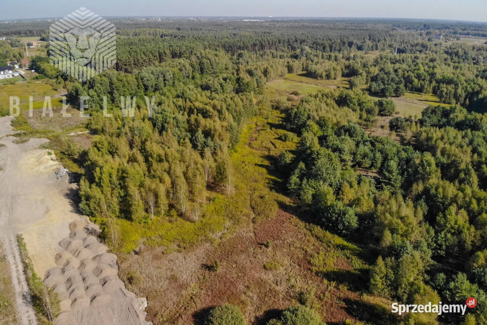 Ogłoszenie działka Nadma Rzeczna 4500m2
