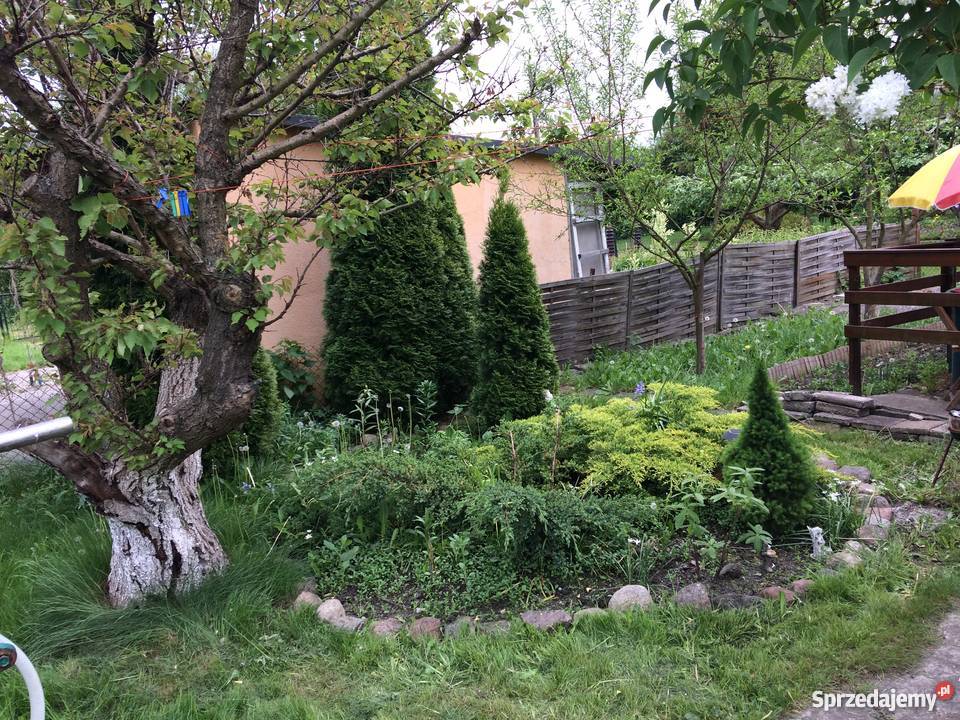 DZIAŁKA ROD TRANSPORTOWIEC JEZIORA RUDNICKIEGO Grunty i działki Grudziądz sprzedam