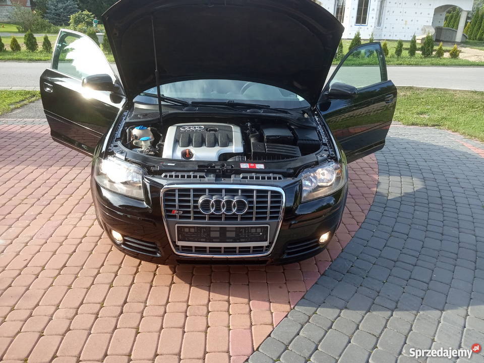 Audi A3 8P 2004 Motoryzacja Stara Wieś