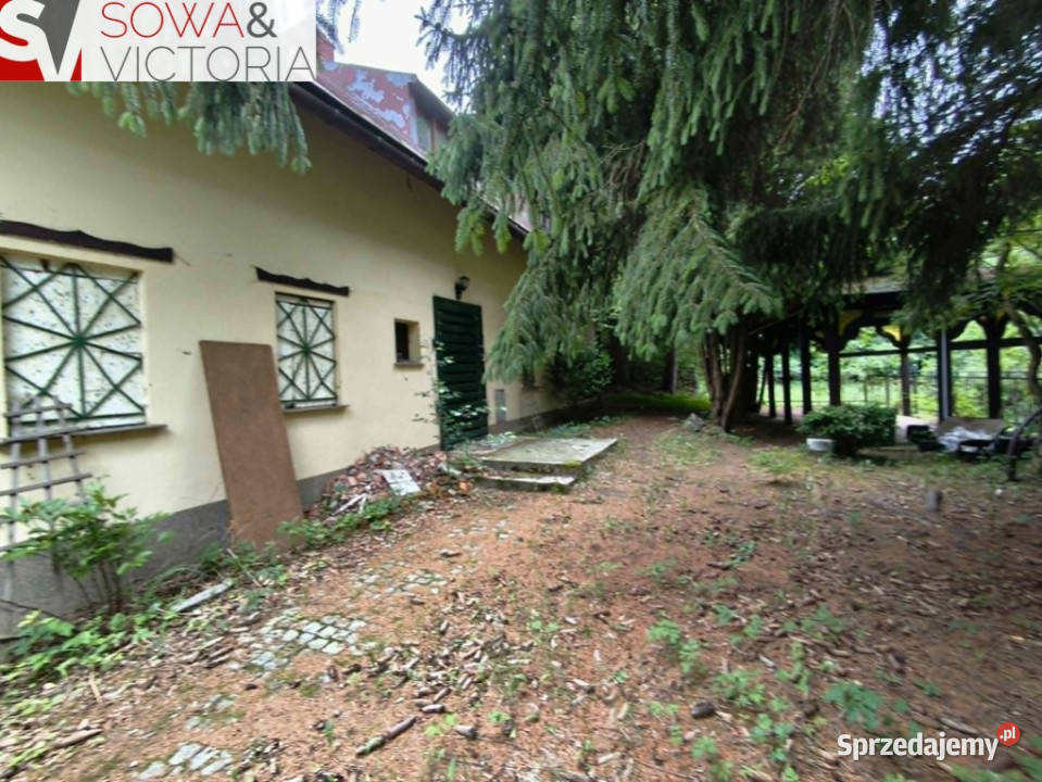Dom bez sąsiedztwa działka 9300 m 2 cegła