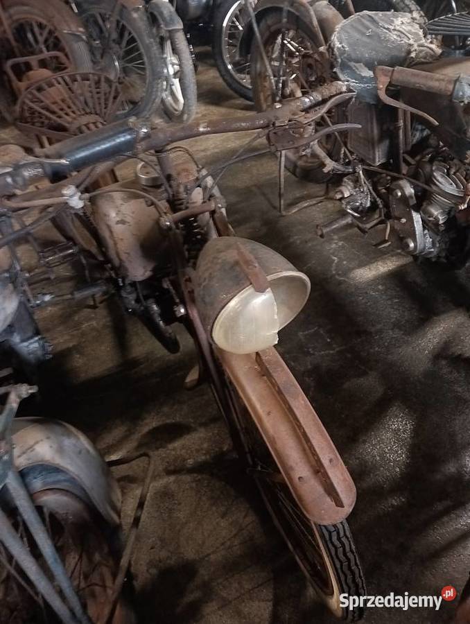 Damski terrot 100 Gostycyn