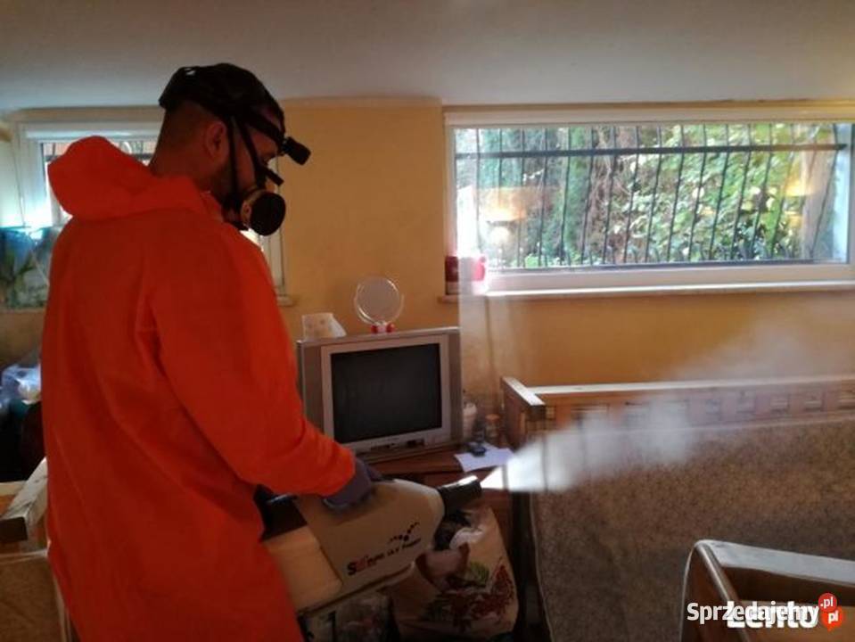 Dezynsekcja Pluskwy Certyfikowany Poziom Wyższy