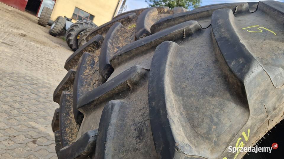 65065r42 6506542 Alliance BKT 99 bieżnik warmińsko-mazurskie