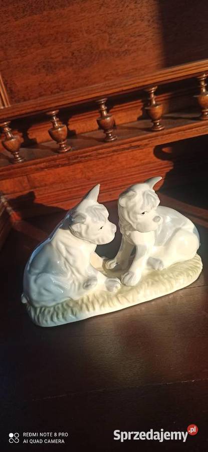 Figurka porcelanowa 2 Pieski
Śliczna bez Gdańsk sprzedam
