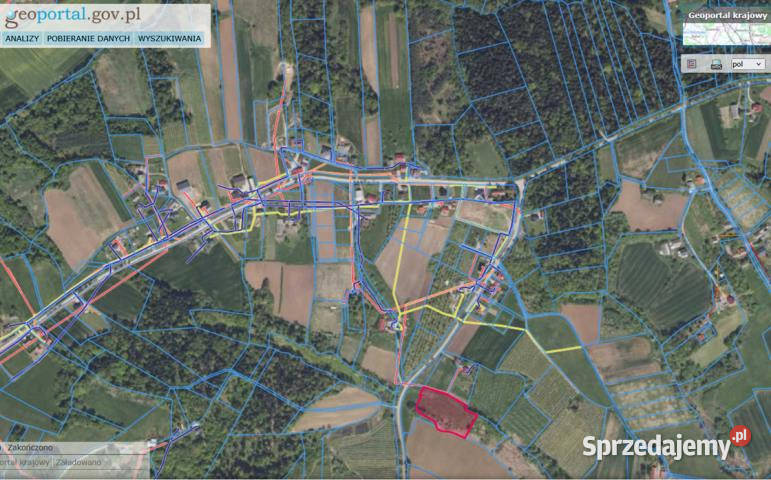 Grunt Gruszów 6200m2