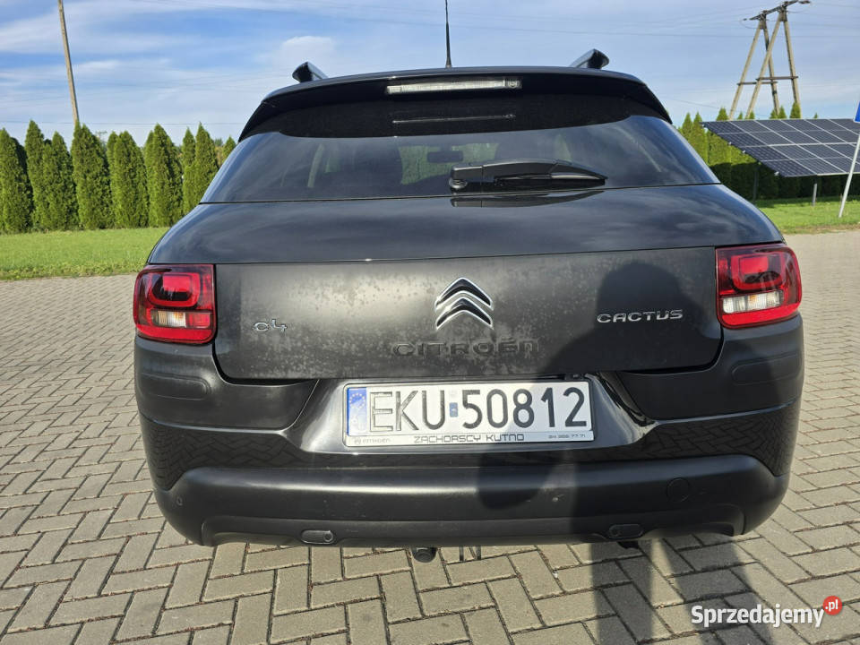 Citroen C4 Cactus 12Turbo Benz NaviKamera Kutno