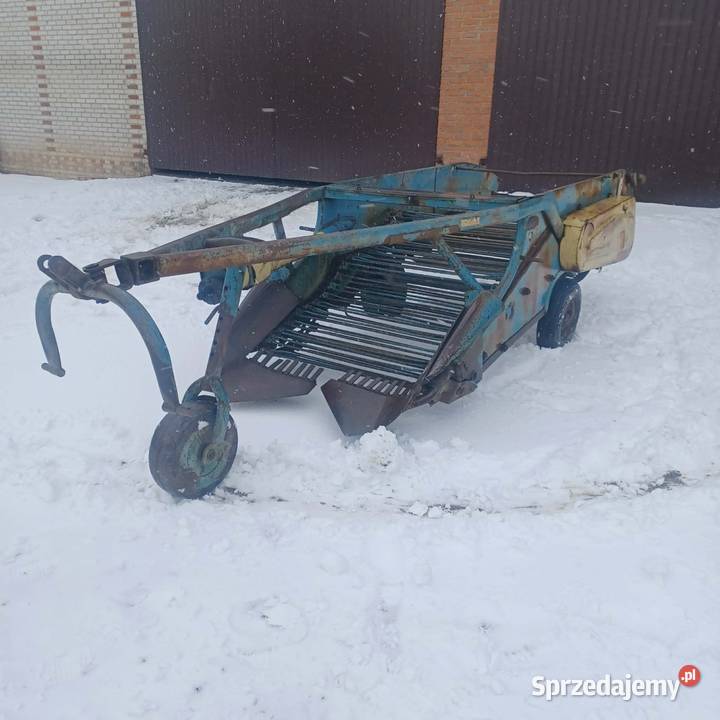 Kopaczka elewatorowa do ziemniaków dwurzędowa lubelskie Piaski sprzedam