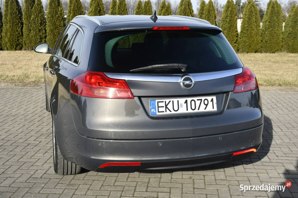 Opel Insignia 20D DUDKI11 Kutno sprzedam