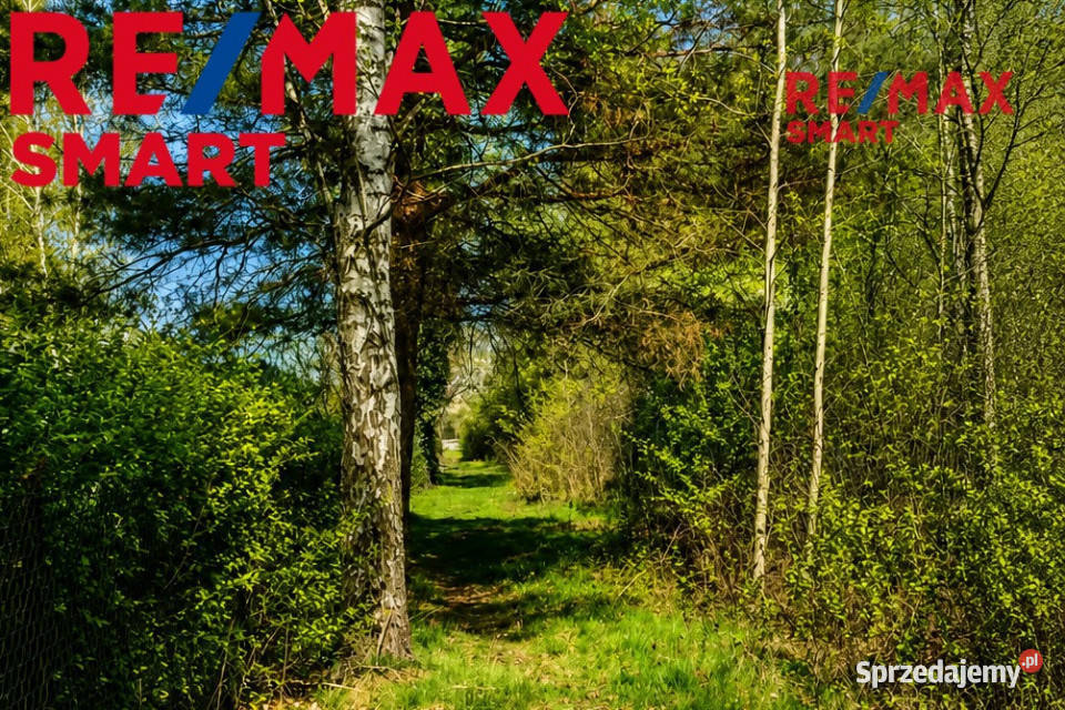 WYJĄTKOWA DZIAŁKA Z WZ 3204 m2 GRABÓW PILICĄ Grabów nad Pilicą