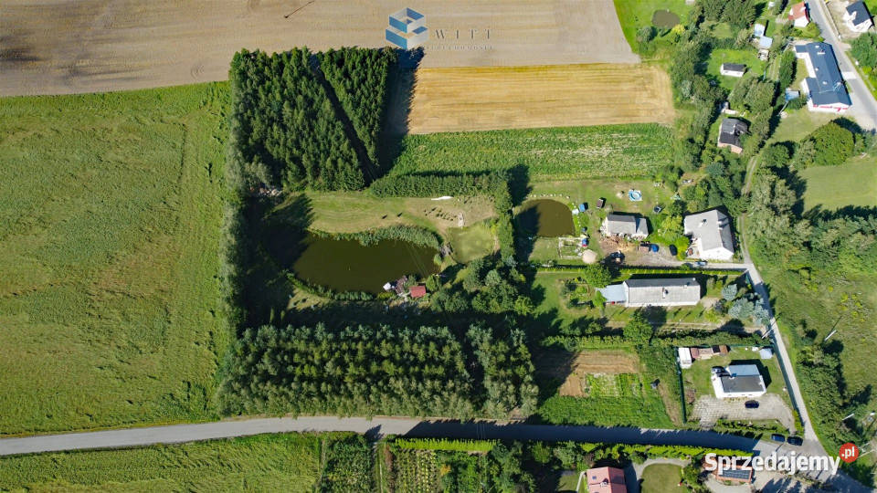 Grunt 15116m2 Reszki asfalt