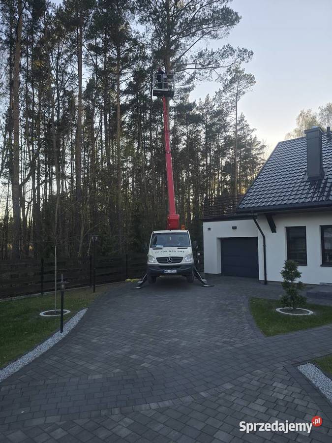 Wycinka Drzew Warszawa Pielęgnacja Drzew i