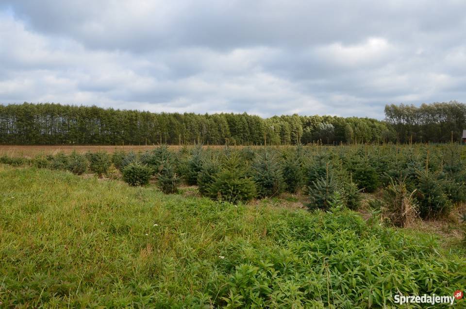 Piękna działka jez Białe mazowieckie
