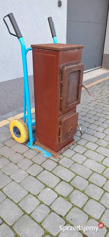 Pieckominek szamotowykoza