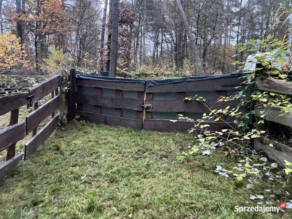 Działka leśna ZL ogrodzona jeziorem Borkowo