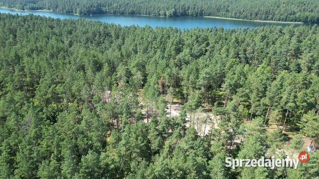 Działki budowlane z MPZP Skorzewo