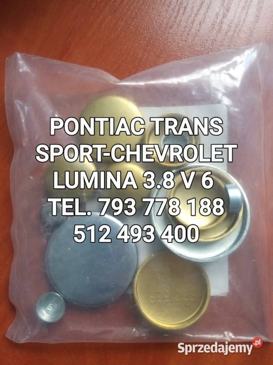 BROK ZAŚLEPKA BLOKU SILNIKA PONTIAC TRANS SPORT Blok silnika Kawnice