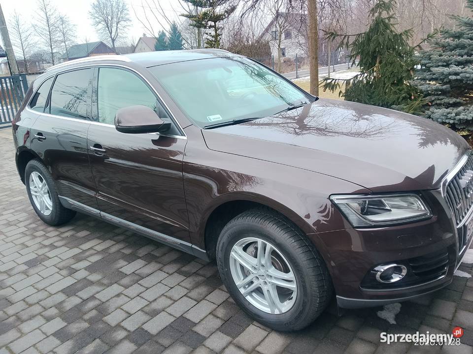 Audi Q5 20TDI Quattro Gilowice