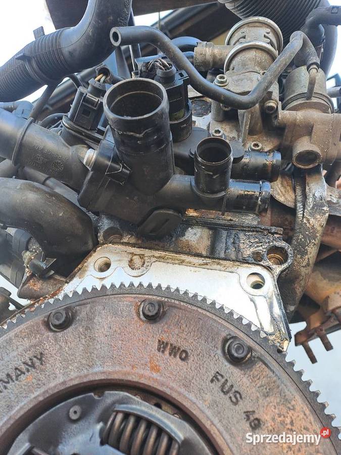 Audi A3 8L 16 8V 102 silnik kompletny kod AVU Rok produkcji 2003 Jastrzębie-Zdrój