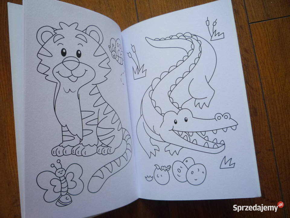 Kolorowanka najmłodszych Colouring Book zachodniopomorskie Szczecin sprzedam