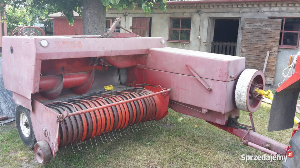 prasa sipma kostka Firlej