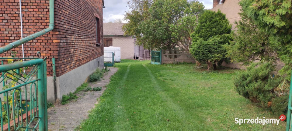 Dom z cegły z dużą działką budynki gospodarcze Wojsławice