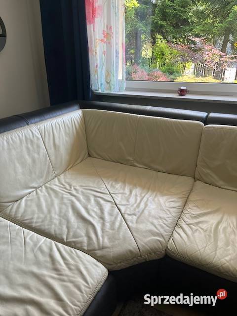 Narożnik skórzany dużyrogówka 3m3m 300cm śląskie