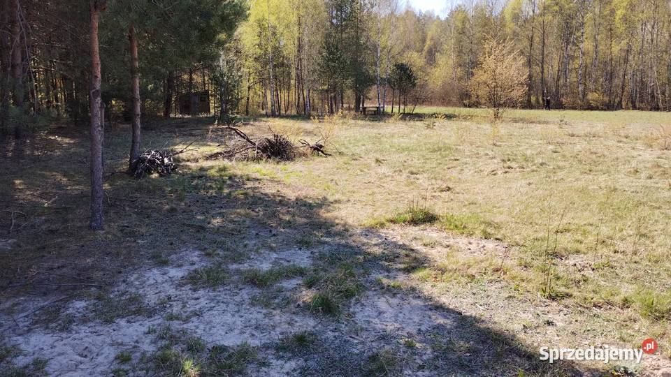 działka budowlana w Andrzejówce 4200m2 z Andrzejówka sprzedam