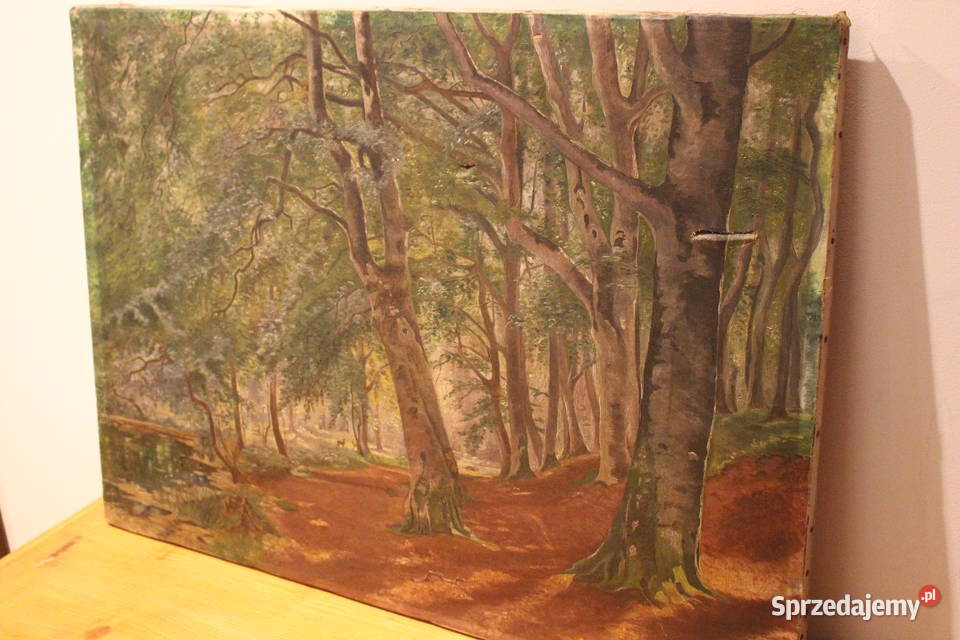 obraz olejny na płótnie Kalisz sprzedam