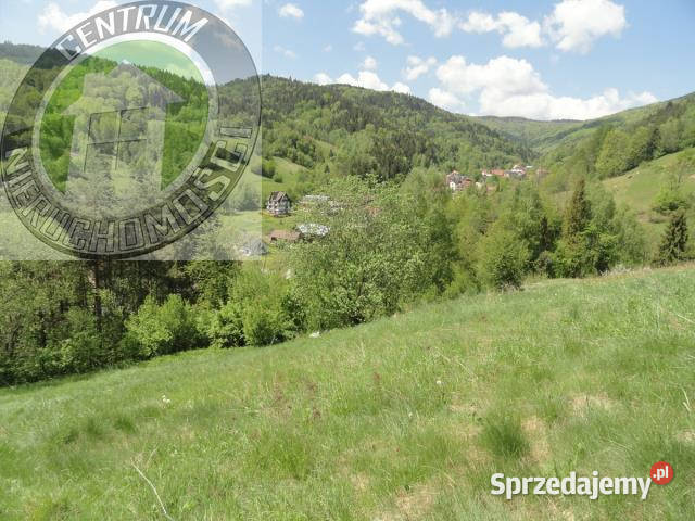 sprzedaży gruntu 3800m2 Ochotnica Dolna woda
