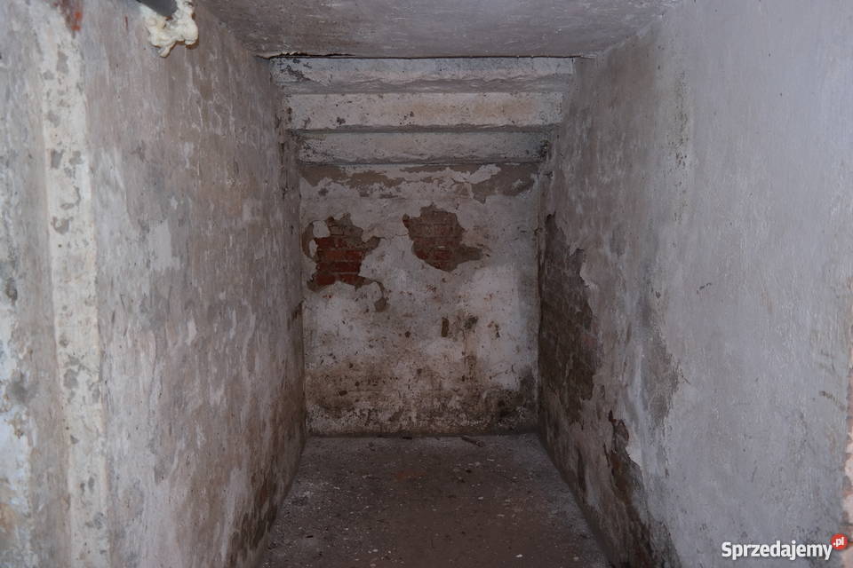 Sutereny w warmińsko-mazurskie sprzedam