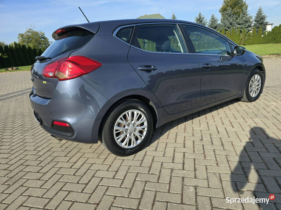 Kia Ceed 16Benzyna Kutno