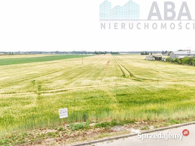 Działki budowlane Sadlnogm Wierzbinek Spokojna budowlana Sadlno sprzedam