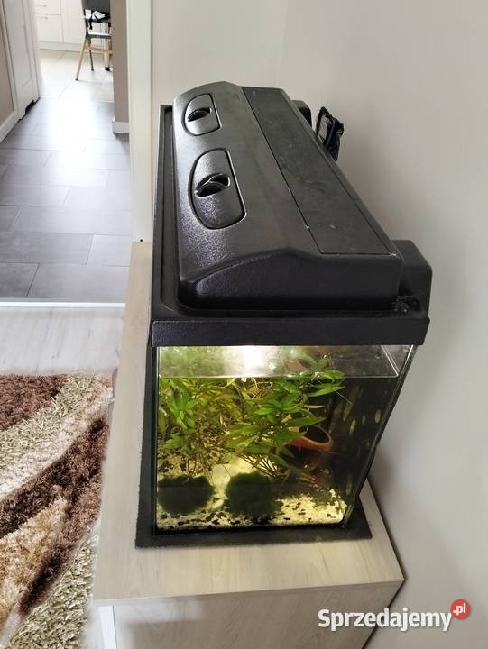 Akwarium 112l z życiem Konin