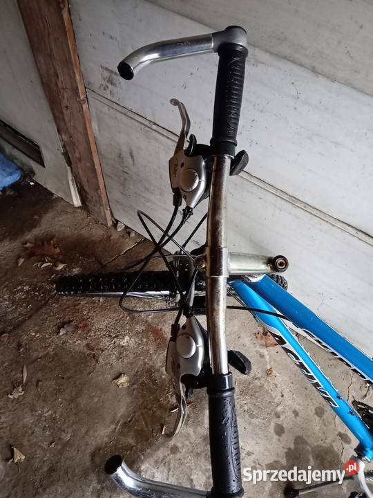 Rower ACTIVE skipper