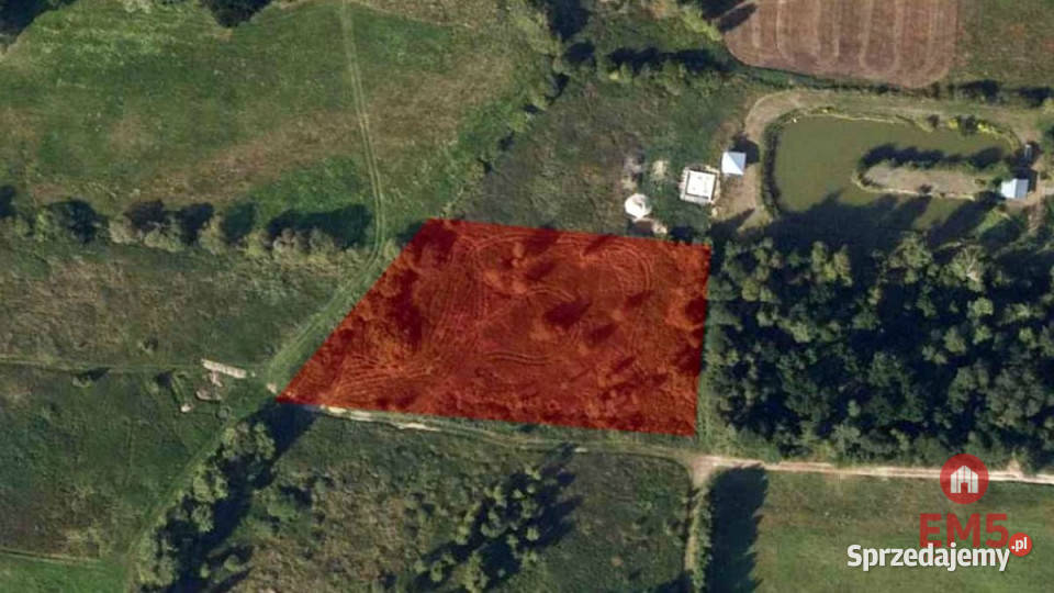 Działka na sprzedaż 5100m2 Ciasne sprzedam
