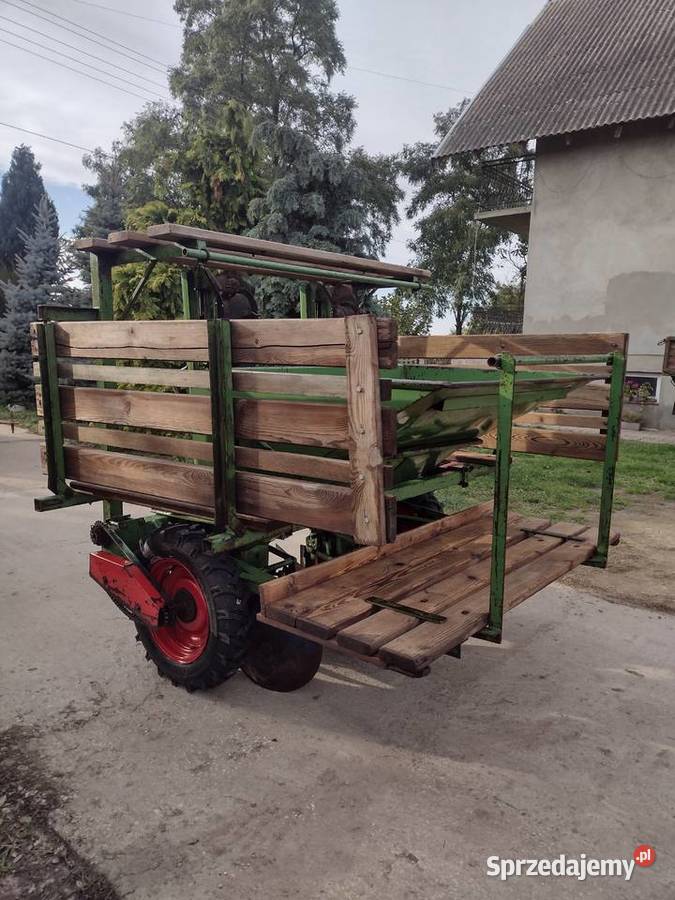 Sadzarka do ziemniaków kiełkowanych Hassia 2 nieuszkodzony Sieradz