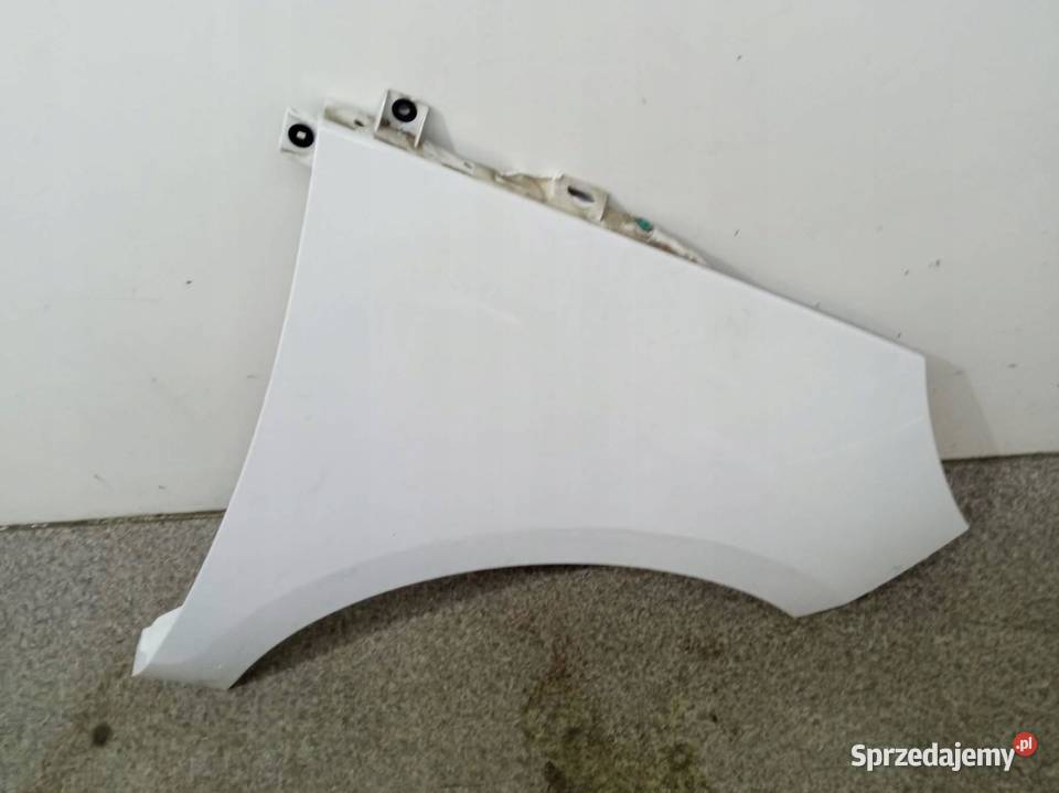 BŁOTNIK PRAWY PRZÓD DV369 Renault Scenic III sprzedam