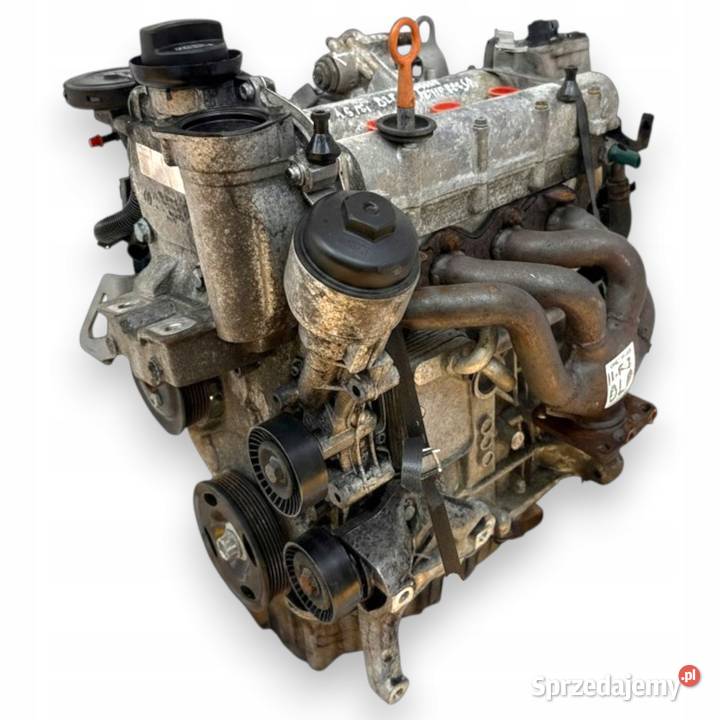 SILNIK BLP Audi A3 II 8P VW Touran Golf V 16 FSI osobowe Chełm sprzedam