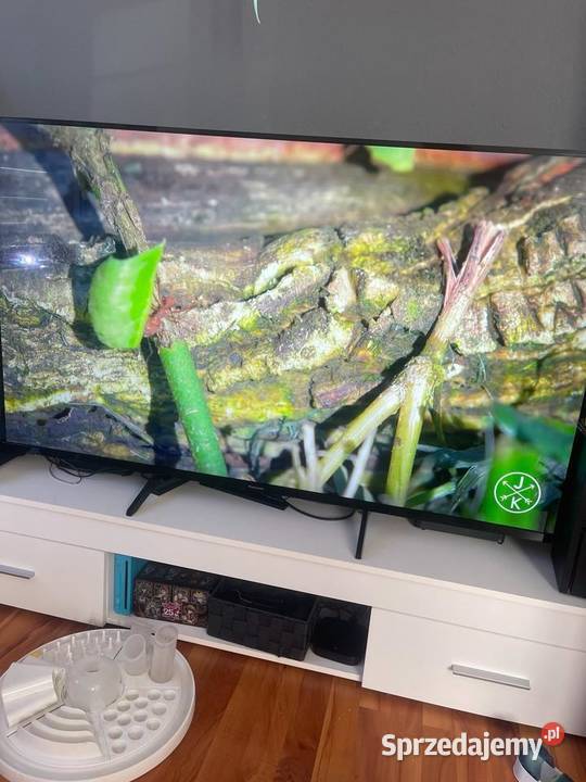 Panasonic Smart TV 58 LED Wągrowiec