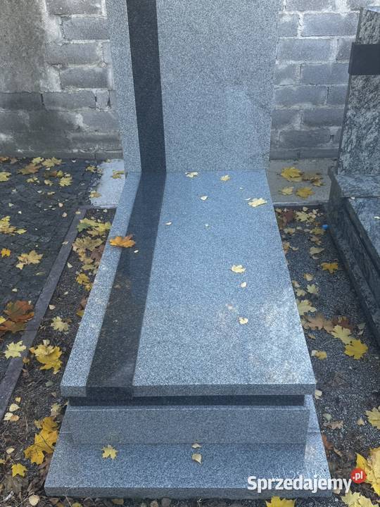 Tani pomnik z montażem Głogów