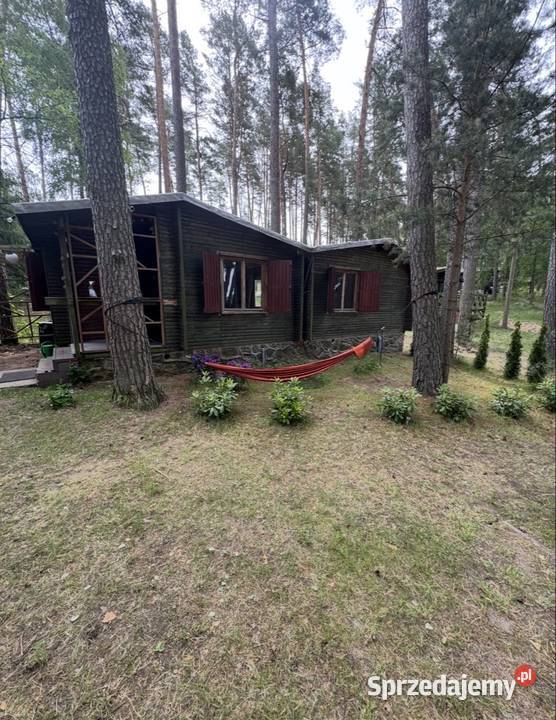 Domek letniskowy jeziorem w okolicach Olsztynka Marózek