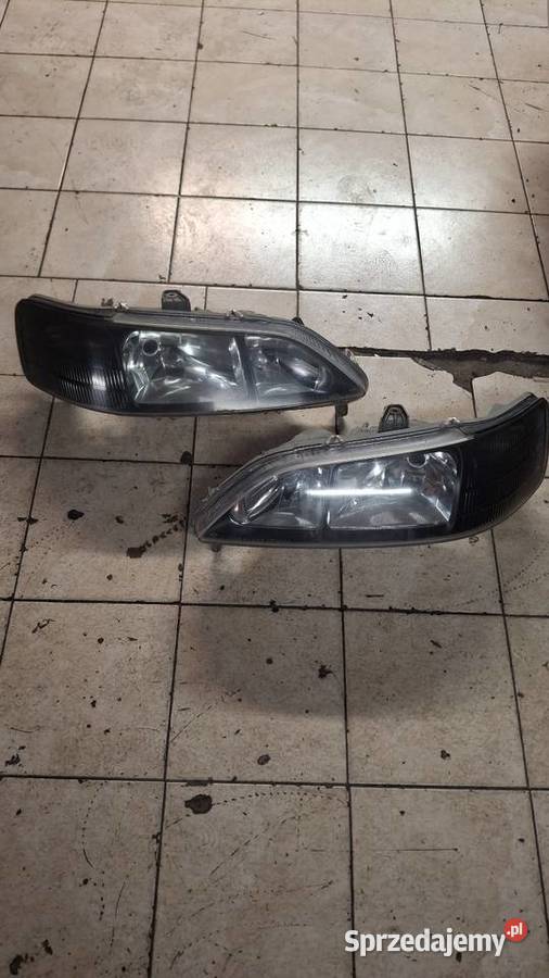 Accord VI lampy