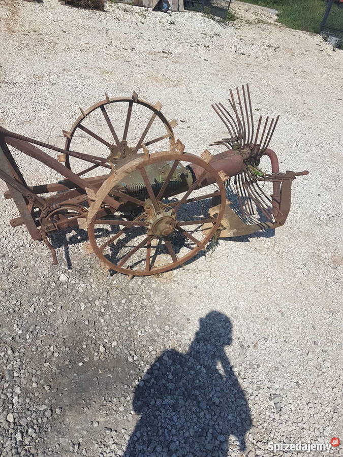 Kopaczka gwiazdowa zabytkowa Cieplice