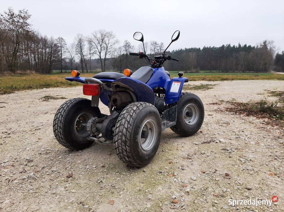 Quad rex 50cc