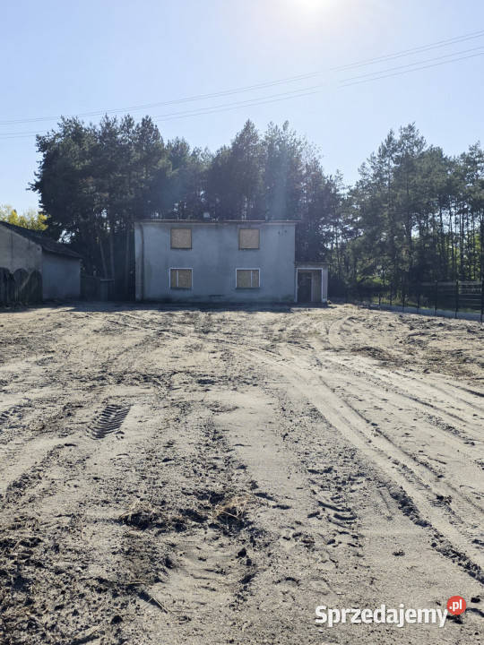 Dom wolnostojący na dużej działce wśród zieleni papa Sprzedaż opolskie Dobrzeń Wielki