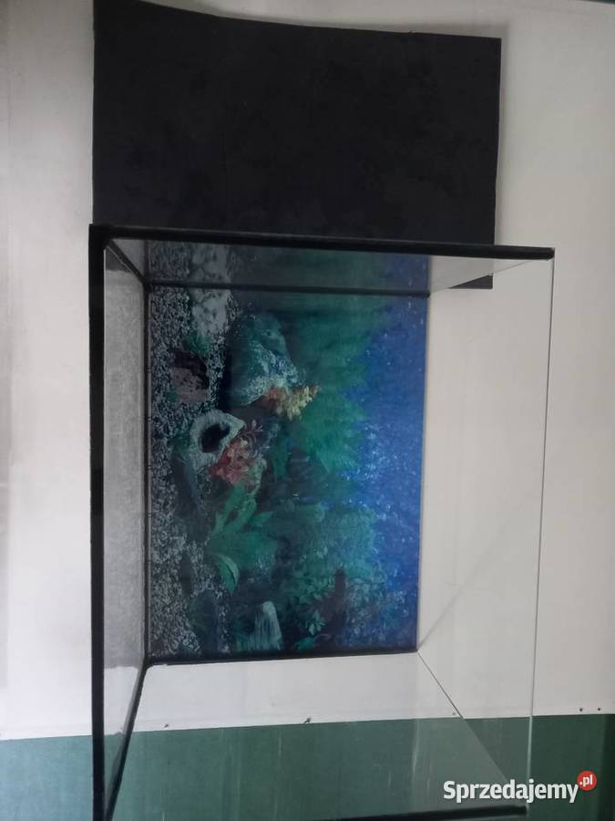 Akwarium 30 l plus tło i mata Kraków