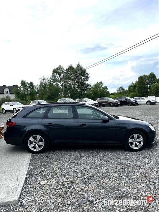 Audi A4 B9 20tdi 2016r Tomaszów Lubelski sprzedam